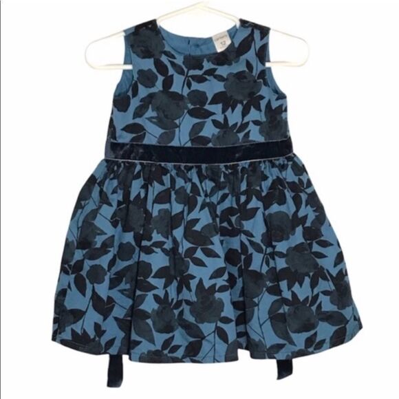 Carter's Other - Kid’s Carter’s Blue Floral Dress